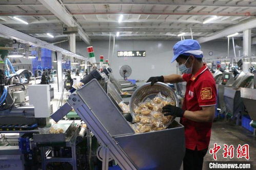 机器人引领螺蛳粉产业新革命 广西螺蛳粉厂全自动包装生产线助力618供货翻倍